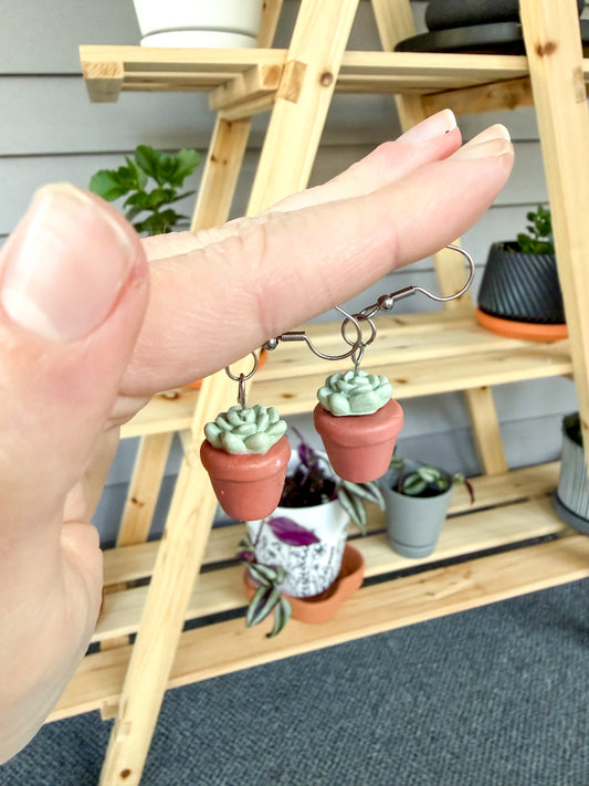 Cactus-shaped earrings held in front of a wooden shelf with potted plants.